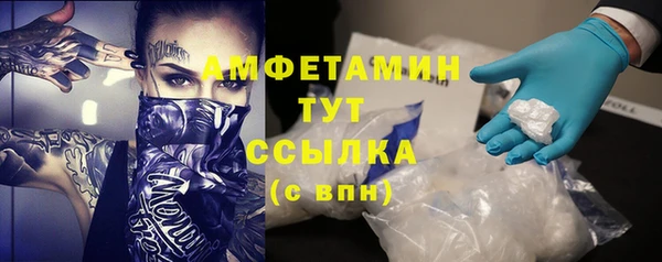 тгк Ельня