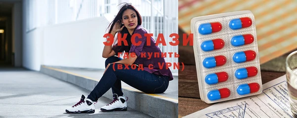 тгк Ельня