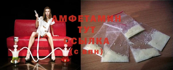 тгк Ельня