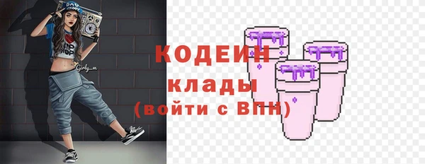прущие крисы Елизово