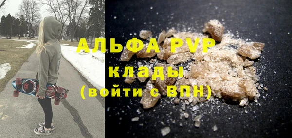 тгк Ельня