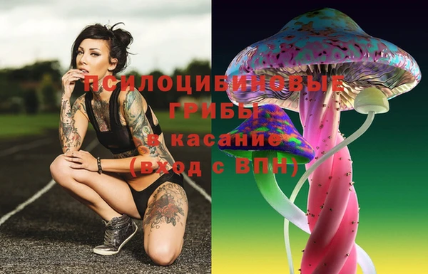 тгк Ельня