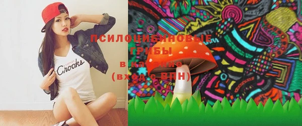 тгк Ельня