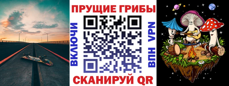 Псилоцибиновые грибы Cubensis  Купить закладки  Собинка 